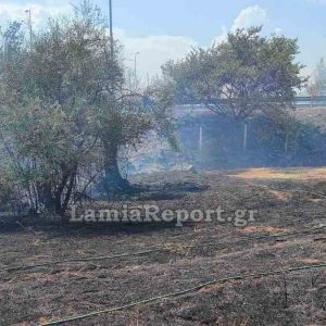 Ράχες: Πυρκαγιά σε ξερά χόρτα στην παλιά εθνική οδό - Χτύπησαν οι καμπάνες του χωριού (BINTEO)