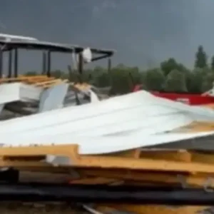 Κακοκαιρία στην Ήπειρο: Κτηνοτροφική μονάδα ισοπεδώθηκε από ανεμοστρόβιλο – Κεραυνός χτύπησε και σκότωσε 88 ζώα