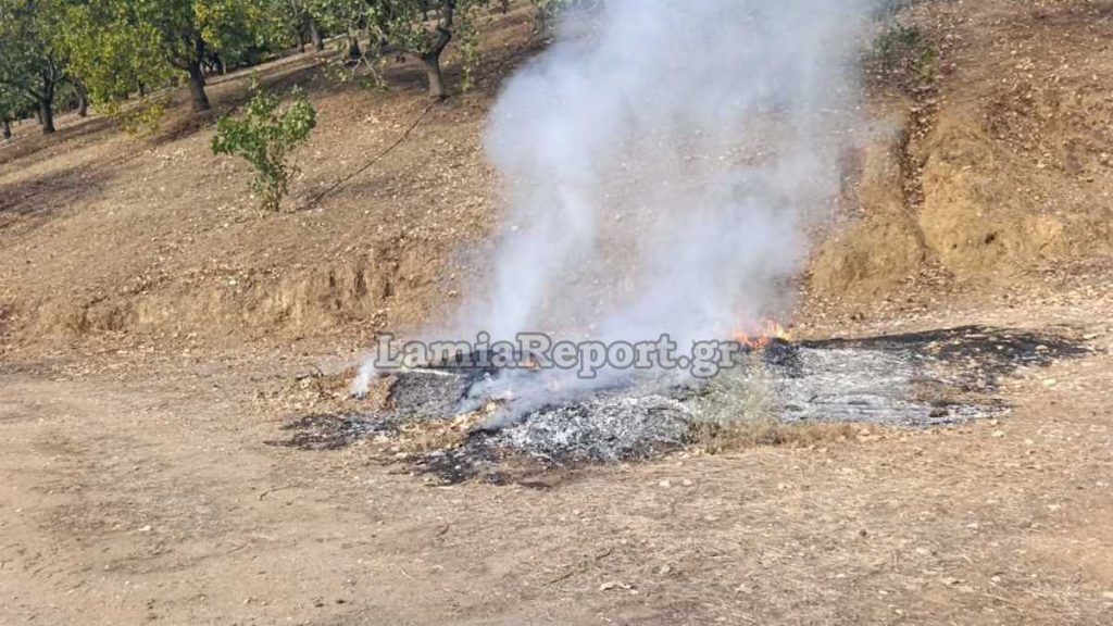 Πυρκαγιά σε αγροτική έκταση στον Όρμο Βαθυκοίλου - Τσουχτερό πρόστιμο στον υπαίτιο (ΦΩΤΟ)