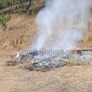 Πυρκαγιά σε αγροτική έκταση στον Όρμο Βαθυκοίλου - Τσουχτερό πρόστιμο στον υπαίτιο (ΦΩΤΟ)