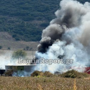Συναγερμός για πυρκαγιά στην Αγριλιά Λαμίας - Δείτε φωτογραφίες και βίντεο