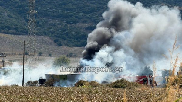 Συναγερμός για πυρκαγιά στην Αγριλιά Λαμίας - Δείτε φωτογραφίες και βίντεο