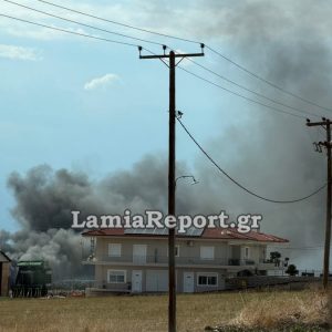 Σύλληψη και βαρύ πρόστιμο για πυρκαγιά ανάμεσα σε σπίτια σε περιοχή της Ερέτριας