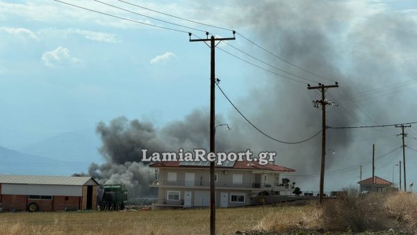 Σύλληψη και βαρύ πρόστιμο για πυρκαγιά ανάμεσα σε σπίτια σε περιοχή της Ερέτριας