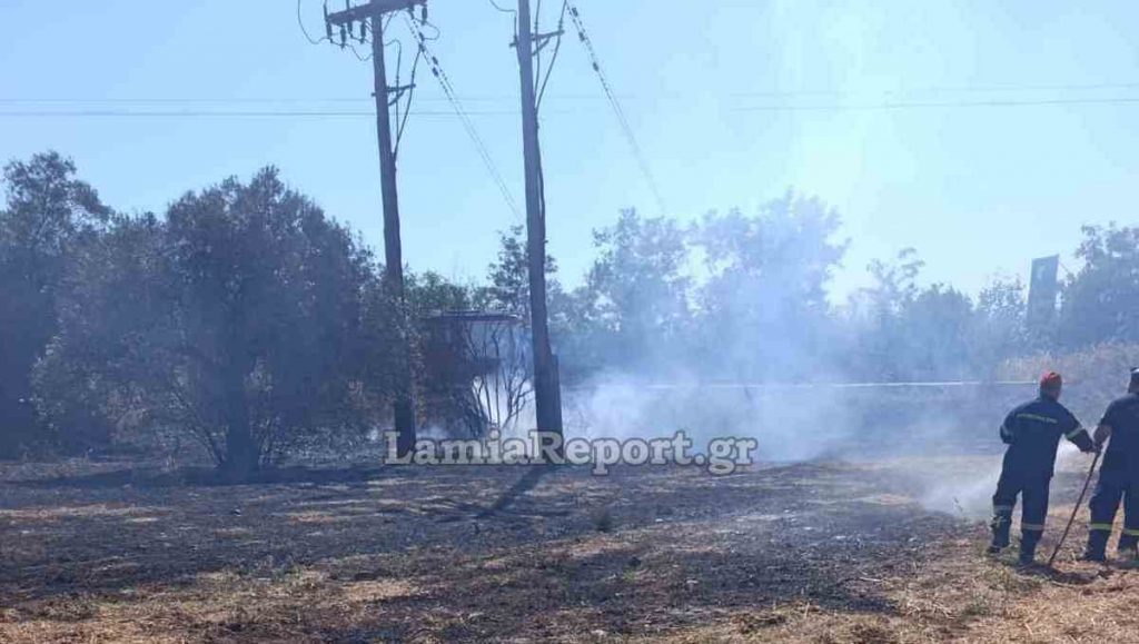 Συναγερμός στο Αυλάκι Στυλίδας για πυρκαγιά μέσα σε ελαιοπερίβολο