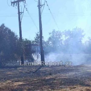 Συναγερμός στο Αυλάκι Στυλίδας για πυρκαγιά μέσα σε ελαιοπερίβολο