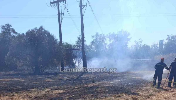 Συναγερμός στο Αυλάκι Στυλίδας για πυρκαγιά μέσα σε ελαιοπερίβολο