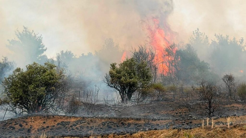 Το ευχαριστήριο του Προέδρου της Κοινότητας Πελασγίας για τη μάχη με την πυρκαγιά