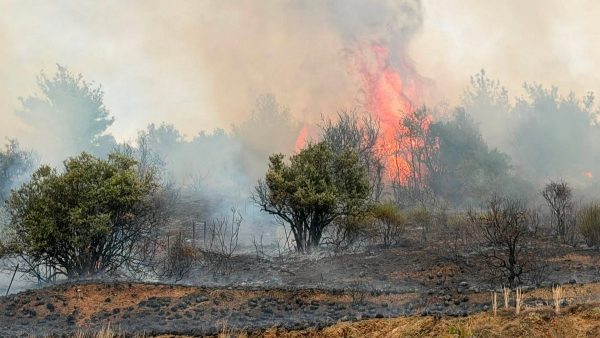 Το ευχαριστήριο του Προέδρου της Κοινότητας Πελασγίας για τη μάχη με την πυρκαγιά