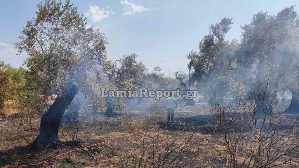 Δήμος Στυλίδας: Δηλώσεις ζημιών από την τελευταία πυρκαγιά στις Ράχες