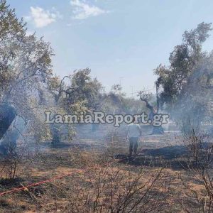Δήμος Στυλίδας: Δηλώσεις ζημιών από την τελευταία πυρκαγιά στις Ράχες