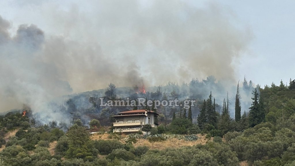 Φθιώτιδα: Συναγερμός για πυρκαγιά πάνω από τα σπίτια της Πελασγίας (ΒΙΝΤΕΟ-ΦΩΤΟ)