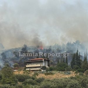 Φθιώτιδα: Συναγερμός για πυρκαγιά πάνω από τα σπίτια της Πελασγίας (ΒΙΝΤΕΟ-ΦΩΤΟ)