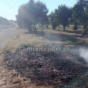 Φθιώτιδα: Πρόλαβαν την πυρκαγιά στις σιδηροδρομικές γραμμές (ΦΩΤΟ)