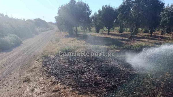 Φθιώτιδα: Πρόλαβαν την πυρκαγιά στις σιδηροδρομικές γραμμές (ΦΩΤΟ)