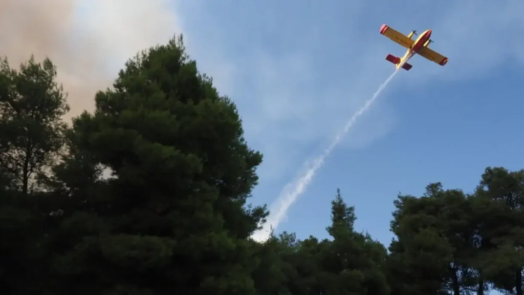 Φωτιά σε δασική έκταση στη Φούρκα Κόνιτσας: 3 εναέρια επιχειρούν στο μέτωπο