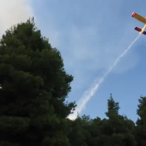 Φωτιά σε δασική έκταση στη Φούρκα Κόνιτσας: 3 εναέρια επιχειρούν στο μέτωπο