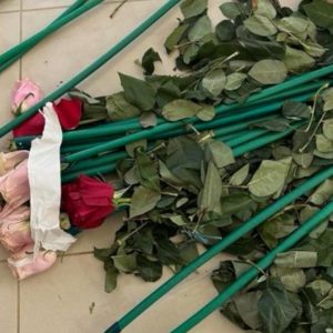 Εισήγαγαν κοκαΐνη κρυμμένη μέσα σε τριαντάφυλλα -Βίντεο-ντοκουμέντο από την επιχείρηση «Τα άνθη του κακού»