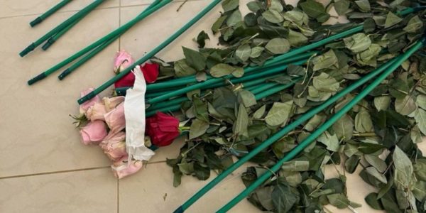 Εισήγαγαν κοκαΐνη κρυμμένη μέσα σε τριαντάφυλλα -Βίντεο-ντοκουμέντο από την επιχείρηση «Τα άνθη του κακού»