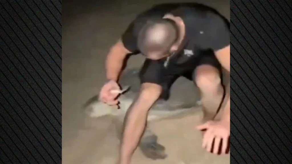 Οργή για Ουκρανό influencer που κάθεται μεθυσμένος πάνω σε θαλάσσια χελώνα στο Ομάν ενώ προσπαθεί να γεννήσει τα αυγά της, βίντεο