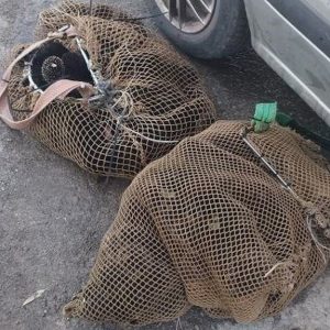 Δεν του βγήκαν σε καλό οι αχινοί - Πρόστιμο σε 35χρονο