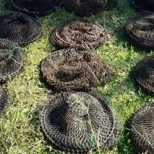 Μαλιακός: Εντοπίσθηκαν 42 «ορφανές» παράνομες ιχθυοπαγίδες (ΦΩΤΟ)