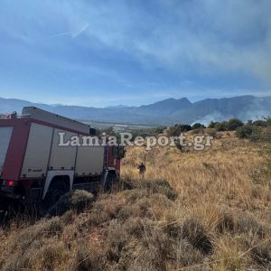 Νέα πυρκαγιά στην Ευρυτανία - Ευτυχώς τέθηκε γρήγορα υπό έλεγχο