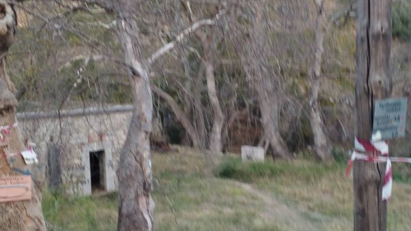 Κίνδυνος ατυχήματος στον Ξηριά Λαμίας από πτώσεις κλαδιών από τα ξηραμένα Πλατάνια