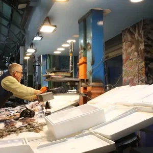 Αλιείς: Ζητούν 50 λεπτά επιδότηση πετρελαίου – Χωρίς φρέσκο ψάρι η αγορά λόγω των κινητοποιήσεων