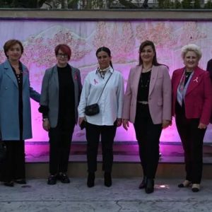 Μαλεσίνα: Στα ροζ φωτίστηκε το Μνημείο των Ηρώων για την πρόληψη του καρκίνου του μαστού (ΦΩΤΟ)