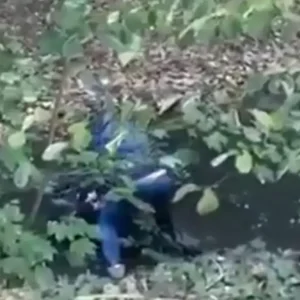 Γαλλία: Σάλος από βίντεο με αστυνομικό να κρατά νεαρό κάτω από το νερό – Ξυλοκοπήθηκε από μαθητές που συμμετείχαν στις διαδηλώσεις