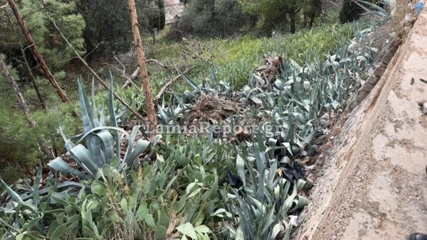 Αυτοί είμαστε! Δείτε που έφτασε ο κάδος στο Κάστρο της Λαμίας - ΒΙΝΤΕΟ