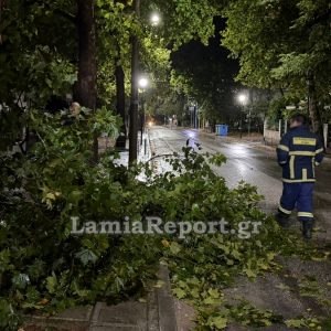 Λαμία: Έσπασε μεγάλο κλαδί από πλάτανο στα Γαλανέικα (ΒΙΝΤΕΟ-ΦΩΤΟ)