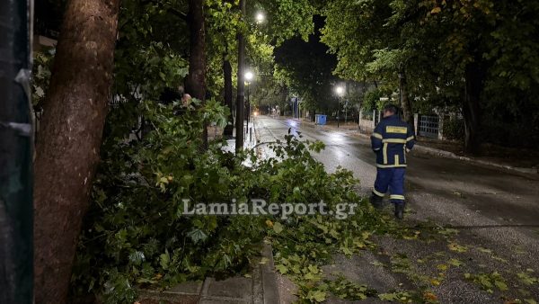 Λαμία: Έσπασε μεγάλο κλαδί από πλάτανο στα Γαλανέικα (ΒΙΝΤΕΟ-ΦΩΤΟ)