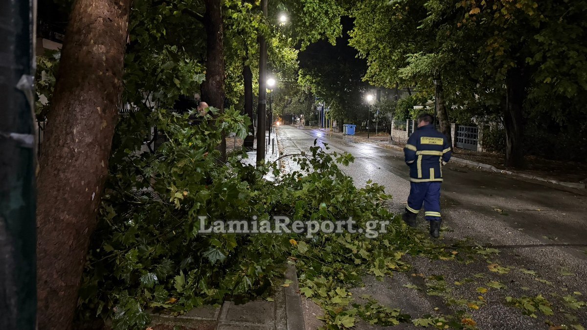 Λαμία: Έσπασε μεγάλο κλαδί από πλάτανο στα Γαλανέικα (ΒΙΝΤΕΟ-ΦΩΤΟ)