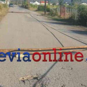 Έπεσαν δύο κολόνες τηλεφωνίας κι έκλεισε παραλιακός δρόμος στη Βόρεια Εύβοια
