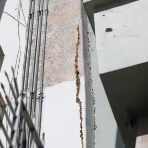 Κυψέλη: Σε κατάσταση επιφυλακής παραμένουν οι κάτοικοι – «Λέω στα παιδιά μου ότι αν χρειαστεί μπορεί να πηδήξουμε και από το μπαλκόνι»