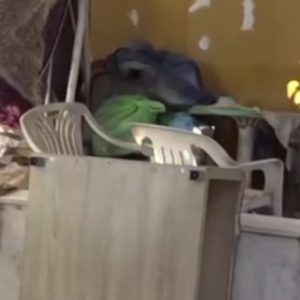 Μενίδι: Κοντά σε μητροκτονία οι Αρχές για τον θάνατο της 89χρονης - Οι φωνές, η σκηνοθετημένη ληστεία και τα τραύματα