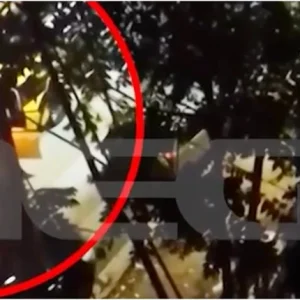 Νέα Ιωνία Αττικής: Δεν μπορούν να της κολλήσουν το αυτί - Βαριές ποινικές διώξεις στον 35χρονο που επιτέθηκε στην οδηγό ταξί