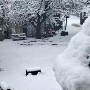 Χιόνισε στα ορεινά χωριά της Φθιώτιδας - Δείτε όμορφες εικόνες