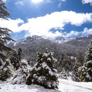 Εντυπωσιακό βίντεο με τα πρώτα χιόνια στον Παρνασσό!