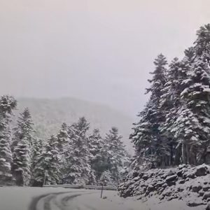 Έπεσε χιόνι στον Παρνασσό - Δείτε βίντεο