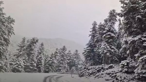 Έπεσε χιόνι στον Παρνασσό - Δείτε βίντεο