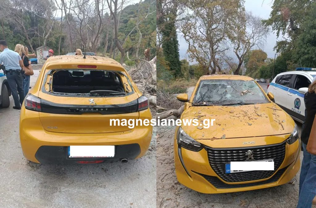Τεράστιος πλάτανος έπεσε πάνω σε ολοκαίνουριο αυτοκίνητο
