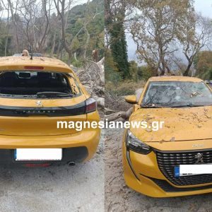 Τεράστιος πλάτανος έπεσε πάνω σε ολοκαίνουριο αυτοκίνητο