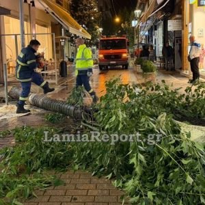 Λαμία: Έπεσε δέντρο στον πεζόδρομο της Βύρωνος - Ευτυχώς λόγω της βροχής δεν περνούσε άνθρωπος εκείνη την ώρα