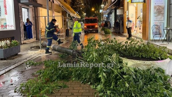 Λαμία: Έπεσε δέντρο στον πεζόδρομο της Βύρωνος - Ευτυχώς λόγω της βροχής δεν περνούσε άνθρωπος εκείνη την ώρα