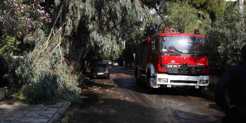 Τραγωδία στην Χαλκιδική: Δέντρο έπεσε και καταπλάκωσε 65χρονο