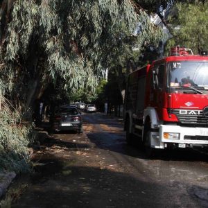 Τραγωδία στην Χαλκιδική: Δέντρο έπεσε και καταπλάκωσε 65χρονο