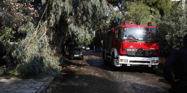 Τραγωδία στην Χαλκιδική: Δέντρο έπεσε και καταπλάκωσε 65χρονο